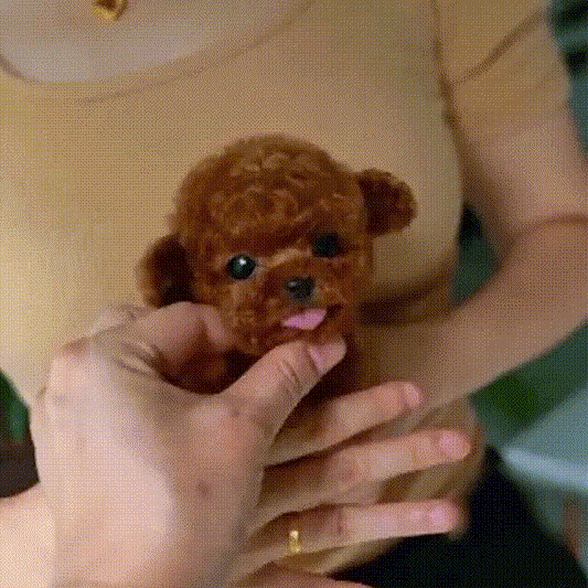 🐶My Realistic Robot Puppy