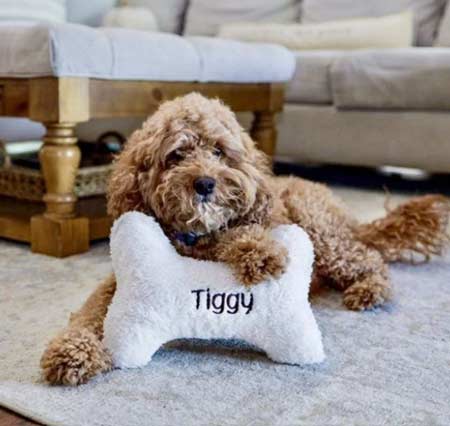 Pet Gifts