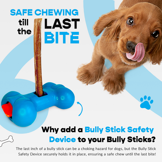 7" Thick Bully Sticks - Refill Pack-1