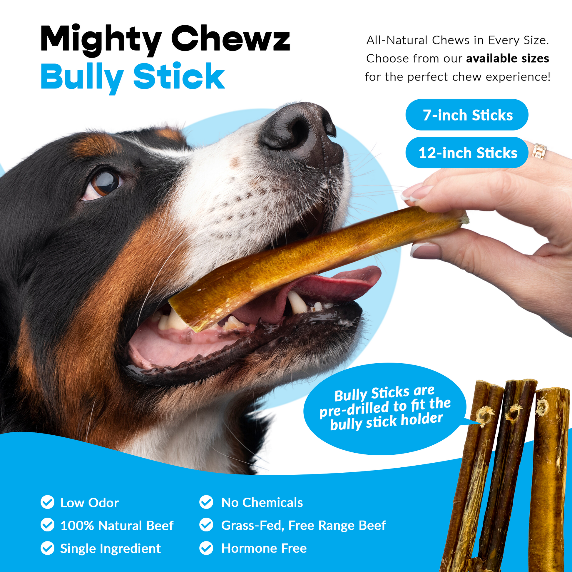 7" Thick Bully Sticks - Refill Pack-4