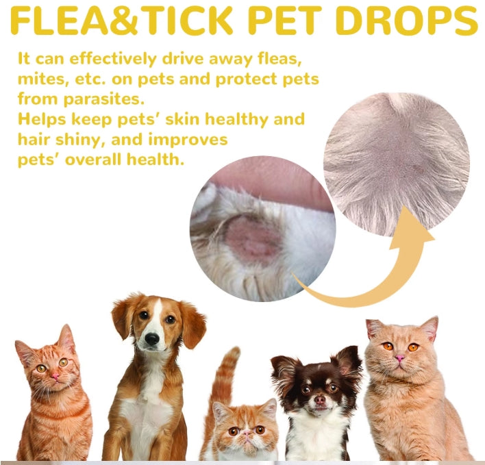Cat Anti Flea Drops Flea Lice Remove Relieve Skin Itching External Insect Repellent Deworming Supplies Pet Tick Treatment Drops