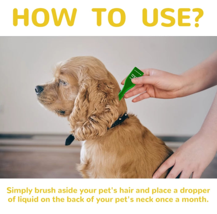 Cat Anti Flea Drops Flea Lice Remove Relieve Skin Itching External Insect Repellent Deworming Supplies Pet Tick Treatment Drops