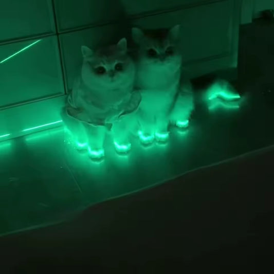 Cat luminous stickers adhesive tape night home indoor outdoor self luminous fluorescent strips Stair warning tape DIY stage